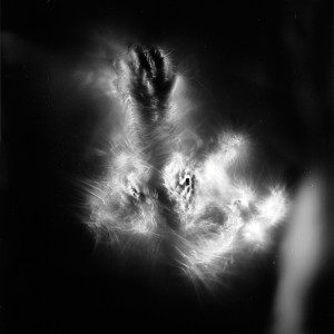 “Aquila IV No.7″, 2016, ca. 120x90cm, photogram on colorfilm/C-Print analog, 2+1 AP