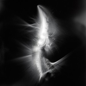 “AZA no.1″, 2017, ca. 130x100cm, photogram on colorfilm/C-Print analog, 2+1 AP