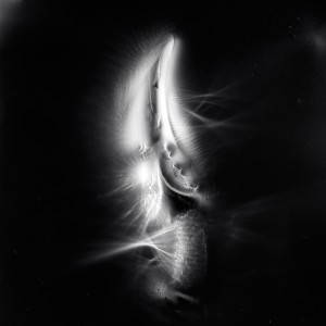 “AZA no.6″, 2017, ca. 130x100cm, photogram on colorfilm/C-Print analog, 2+1 AP