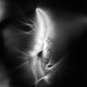 “AZA no.10″, 2017, ca. 130x100cm, photogram on colorfilm/C-Print analog, 2+1 AP