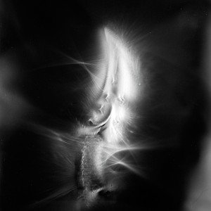 “AZA no.7″, 2017, ca. 130x100cm, photogram on colorfilm/C-Print analog, 2+1 AP