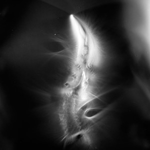 “AZA no.9″, 2017, ca. 130x100cm, photogram on colorfilm/C-Print analog, 2+1 AP