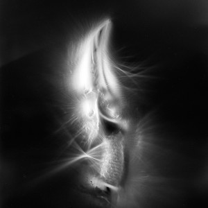 “AZA no.3″, 2017, ca. 130x100cm, photogram on colorfilm/C-Print analog, 2+1 AP