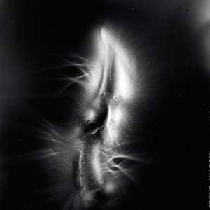 “AZA no.11″, 2017, ca. 130x100cm, photogram on colorfilm/C-Print analog, 2+1 AP