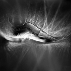 "LABD I no.7″, 2017, ca. 100x130cm, photogram on colorfilm/C-Print analog, 2+1 AP