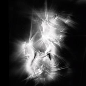 “BMBI no.3″, 2017, ca. 130x100cm, photogram on colorfilm/C-Print analog, 2+1 AP