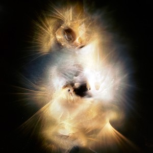 “DDII no.6″, 2017, ca. 130x100cm, photogram on colorfilm/C-Print analog, 2+1 AP