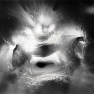 “Magic Lamp no.1″, 2017, ca. 100x130cm, photogram on colorfilm/C-Print analog, 2+1 AP