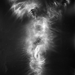 “JS no.8″, 2017, ca. 130x100cm, photogram on bw film/C-Print analog, 2+1 AP