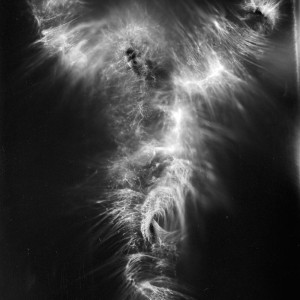 “JS no.7″, 2017, ca. 130x100cm, photogram on bw film/C-Print analog, 2+1 AP