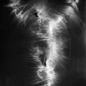 “JS no.6″, 2017, ca. 130x100cm, photogram on bw film/C-Print analog, 2+1 AP