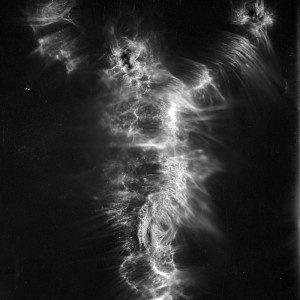 “JS no.2″, 2017, ca. 130x100cm, photogram on bw film/C-Print analog, 2+1 AP