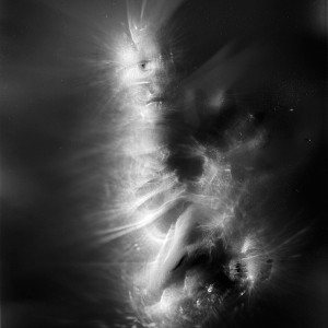 “SOL no.1″, 2018, ca. 130x100cm, photogram on colorfilm/C-Print analog, 2+1 AP