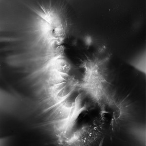 “SOL no.3″, 2018, ca. 130x100cm, photogram on colorfilm/C-Print analog, 2+1 AP