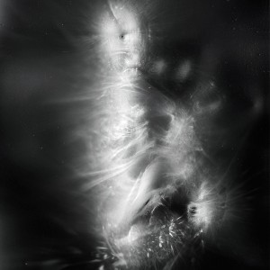 “SOL no.4″, 2018, ca. 130x100cm, photogram on colorfilm/C-Print analog, 2+1 AP