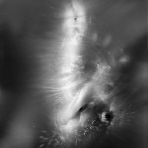 “SOL no.5″, 2018, ca. 130x100cm, photogram on colorfilm/C-Print analog, 2+1 AP