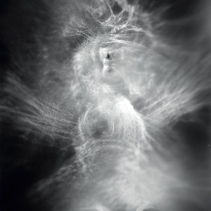 “Torso no.7″, 2018, ca. 130x100cm, photogram on colorfilm/C-Print analog, 2+1 AP