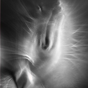 “PRHAD (Praying hands after Dürer) no.13″, 2018, ca. 130x100cm, photogram on colorfilm/C-Print analog, 2+1 AP