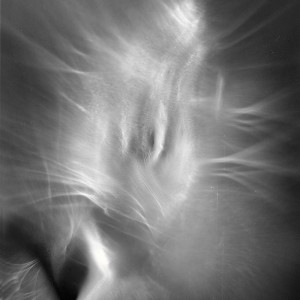 “PRHAD (Praying hands after Dürer) no.14″, 2018, ca. 130x100cm, photogram on colorfilm/C-Print analog, 2+1 AP