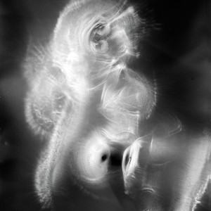 “AN no.13″, 2019, ca. 130x100cm, photogram on colorfilm/C-Print analog, 2+1 AP