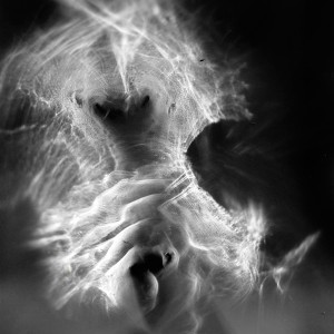 “TORSO II no.16″, 2020, ca. 130x100cm, photogram on colorfilm/C-Print analog, 2+1 AP