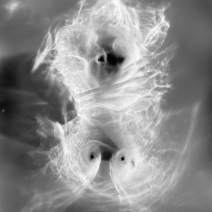 “TORSO II no.9″, 2020, ca. 130x100cm, photogram on colorfilm/C-Print analog, 2+1 AP