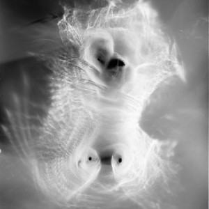 “TORSO II no.6″, 2020, ca. 130x100cm, photogram on colorfilm/C-Print analog, 2+1 AP