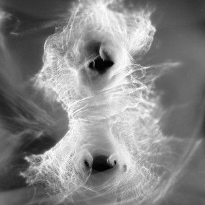 “TORSO II no.5″, 2020, ca. 130x100cm, photogram on colorfilm/C-Print analog, 2+1 AP