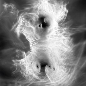 “TORSO II no.3″, 2020, ca. 130x100cm, photogram on colorfilm/C-Print analog, 2+1 AP