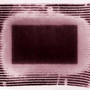 “COSMOPOR No.2″, 2021, ca. 100x130cm, photogram on colorfilm/scan/fineart-print, 2+1 AP