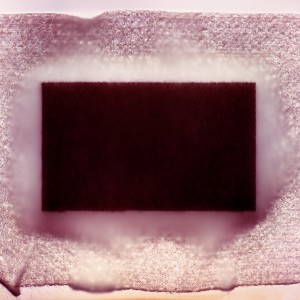 “COSMOPOR No.4″, 2021, ca. 100x130cm, photogram on colorfilm/scan/fineart-print, 2+1 AP
