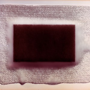 “COSMOPOR No.6″, 2021, ca. 100x130cm, photogram on colorfilm/scan/fineart-print, 2+1 AP
