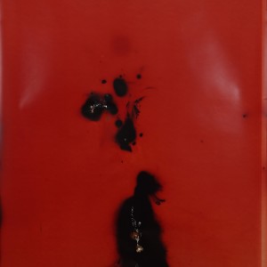 "Black-Swan", 2021, ca. 240x127cm, Rocketogram / Color-Photogram, unique