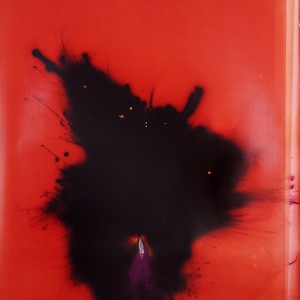 "SS-7-Saddler", 2021, ca. 240x127cm, Rocketogram / Color-Photogram, unique