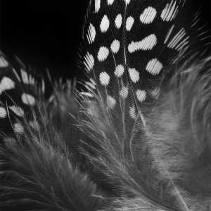 “GFF“, detail