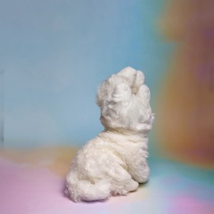 “PAWHD“, 2024, ca. 155cm x 122cm, Fine Art Print, 2+1 AP