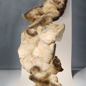 “PDM_I“, 2024, ca. 170cm x 122cm, Fine Art Print, 2+1 AP